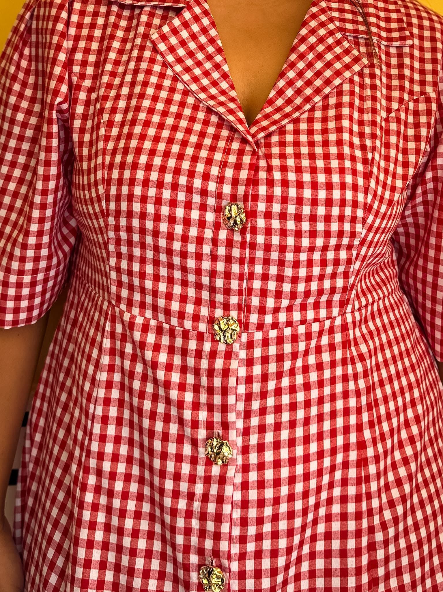 Red Gingham Taffy Dress